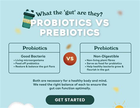 Prebiotic Vs Probiotic Whats The Difference Amazin Graze Malaysia