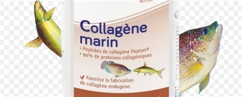 Bienfaits Du Collag Ne Marin Pour La Sant Aloevera Ginkgo