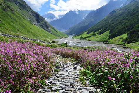 7n8d Valley Of Flowers Tour All India Tour Packages
