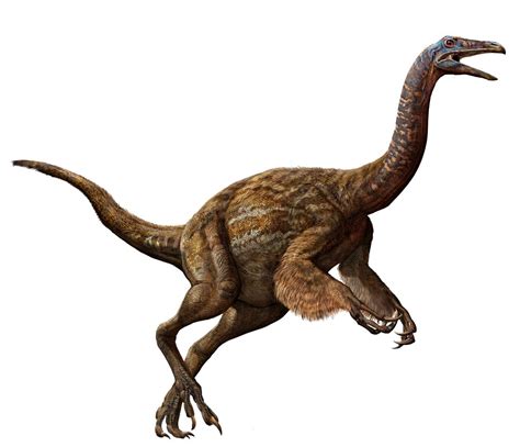 Struthiomimus Paleontology Wiki Fandom