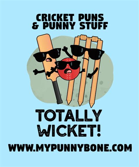 75 Cricket Puns And Jokes To Bowl You Away Mypunnybone