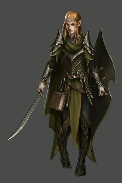 Elven Warrior Mage Elf Warrior Character Art Elf Armor