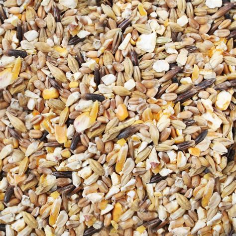 IAKO Farmer's Mix Komplettmischung für Legehennen 10kg