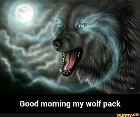 Afbeeldingsresultaat Voor Good Morning Wolves Wolf Wallpaper Images