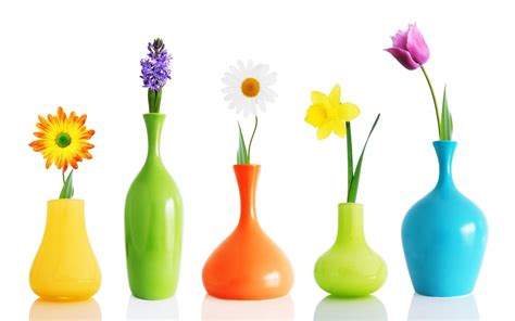These images are free to use under the cc0 license agreement for personal use or your next commercial project. flowers, Roses, Spring, Vases, Scenery, Decoration, Colors ...