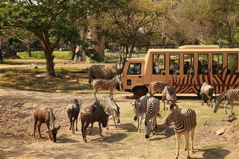 The 5 Best Zoos in Bali | Authentic Indonesia Blog