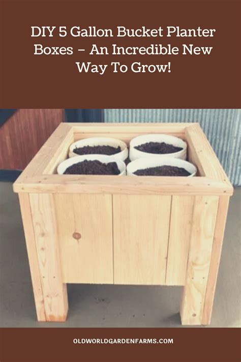 Diy 5 Gallon Bucket Planter Boxes An Incredible New Way To Grow In