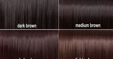 Light ash brown 61 (mochaccino). Beautiful Dark Brown Hair Color Chart | Frisyr | Pinterest ...