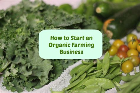 Wallpaper engine stops working fixed wallpaper engine was likely crashed by another applications youtube. How to start a business as an organic farmer #wahm # ...