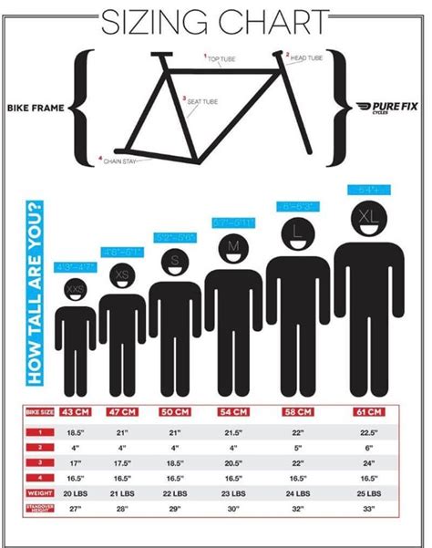 Bike Size Chart How To Choose The Right Bicycle By Sarah Nguyen Medium