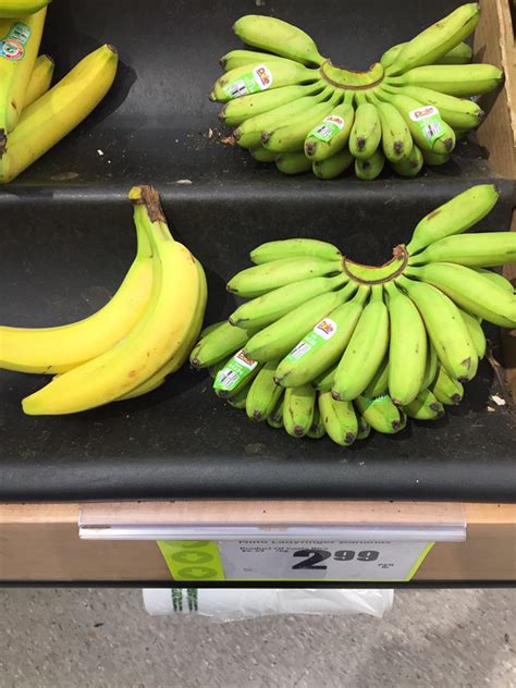 These Tiny Bananas Rmildlyinteresting