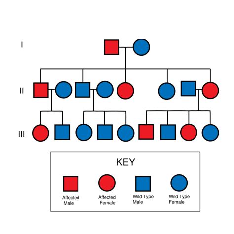 And so more mistakes can make it through. Autosomal recessive - wikidoc