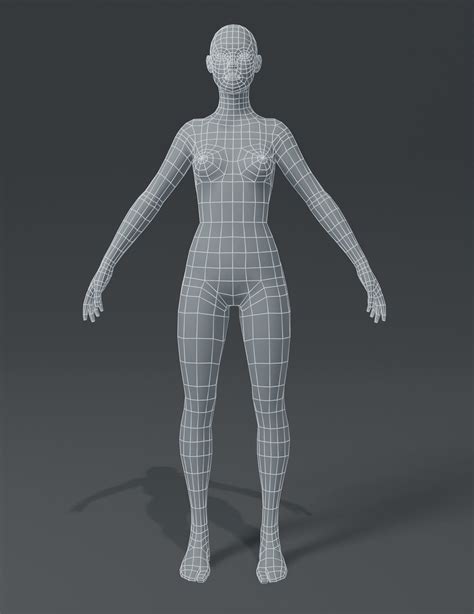 3D Model Female Body Base Mesh 3D Model VR AR Low Poly CGTrader