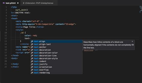 Php Vs Code Intellisense Support In Phtml Files For Inline Css