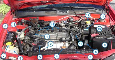 How To Matthew Under The Hood 1999 Nissan Altima 24l