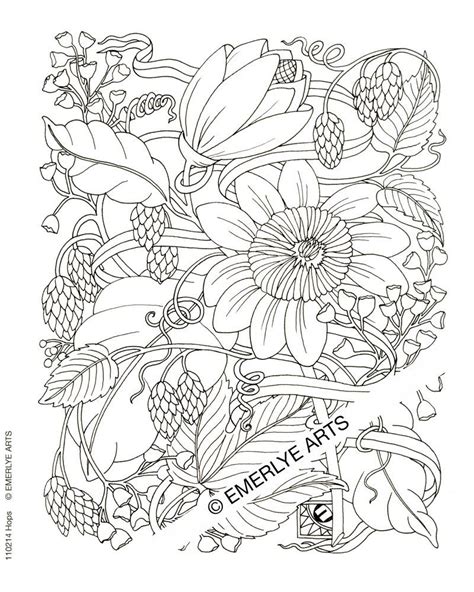 Difficult Coloring Pages For Adults Coloring Pages