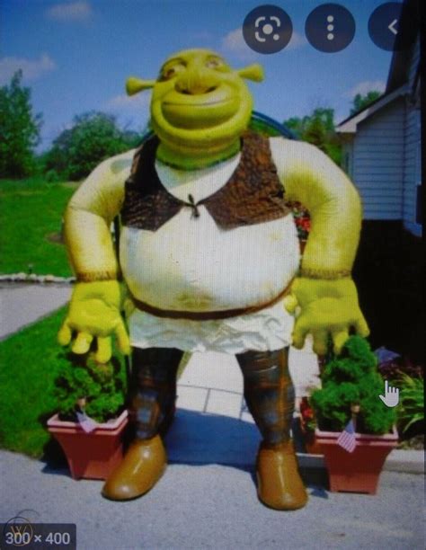 8 Foot Tall Shrek Indoor Outdoor Inflatable Promotional Frito Lay Item