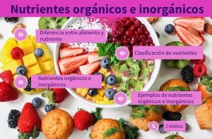 Nutrientes orgánicos e inorgánicos