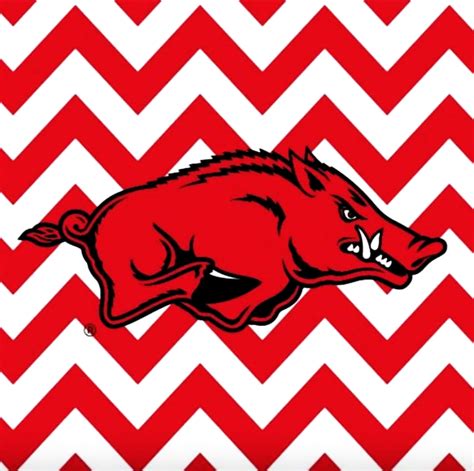 Download Celebrating Arkansas Razorbacks football Wallpaper