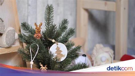 Borromeus inilah pohon natal dan. Pohon Natal Dari Botol Sprite / Gereja Katedral Kristus Raja Purwokerto Buat Pohon Natal ...