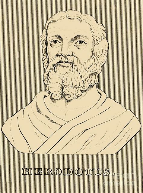 Herodotus Drawing By Print Collector Fine Art America
