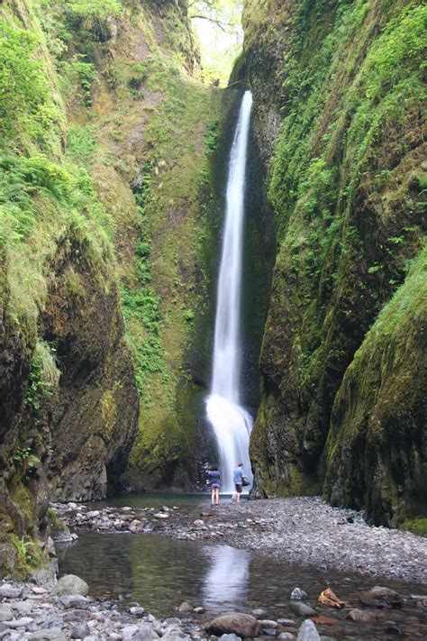 Oneonta Gorge Waterfall In The Columbia River Gorge Usa Pictures