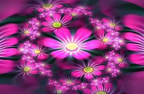 Rica Rica Wallpapers Cool Flowers Wallpapers Pack 2