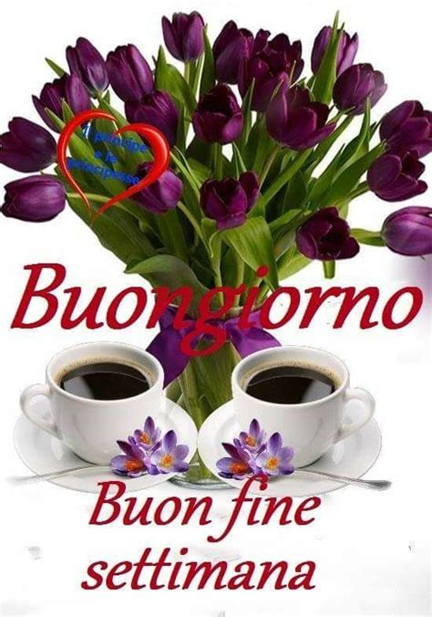 Che questa settimana abbia inizio con gioia e serenità. Buongiorno buon fine settimana (con immagini) | Buongiorno ...
