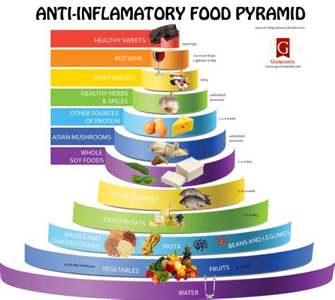 Anti Inflammatory Food Pyramid Visual Ly My XXX Hot Girl