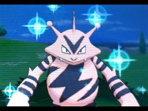 We did not find results for: LIVE! Shiny Electabuzz after 4294 RE's! - YouTube