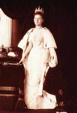 De Inhuldiging Van Koningin Wilhelmina 1898 Historiek