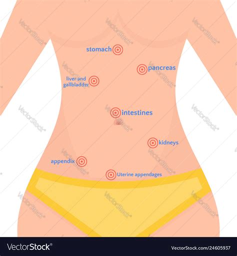 Types Abdominal Pain In Women Location Pain Vector Image