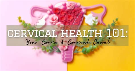 Cervical Health 101 Your Cervix And Cervical Canal Newsymom