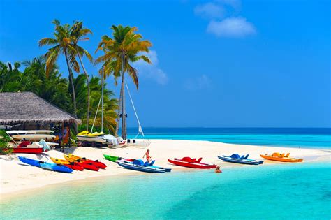 Download Island Horizon Turquoise Sea Ocean Palm Tree Tropical Beach