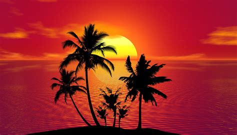 Photographic Print Poster Tropical Summer Sunset Beach Palm Trees