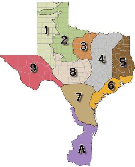 Tpwd Texas Partners In Flight Ecoregional Checklists
