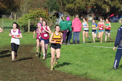 Munster Senior And Juvenile Uneven Age Cross Country Championships