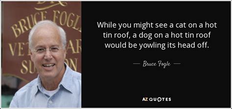 View quote mae flynn pollitt : Bruce Fogle quote: While you might see a cat on a hot tin...