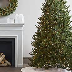 Balsam hill's balsam fir has a lot more branches and lights, though their fraser fir is very dense, as well. Christmas Sale - Christmas Trees and Decor | Balsam Hill