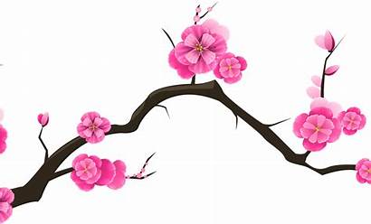 Transparent Sakura Branch Clip Cherry Blossom Yopriceville