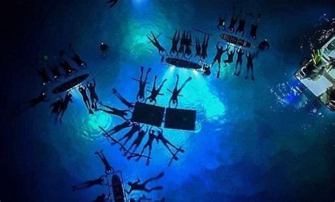 Manta Ray Night Dive Or Snorkel Big Island Kona Honu