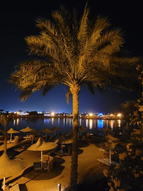 Sex On The Beach Der Bes Desert Rose Resort Hurghada • Holidaycheck Hurghada Safaga
