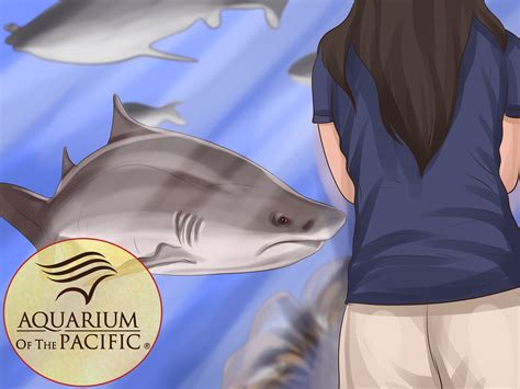 3 Ways To Spot A Tiger Shark Wikihow