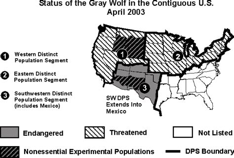 Usfws Gray Wolf Archives 2003 Map Of Eastern Dps