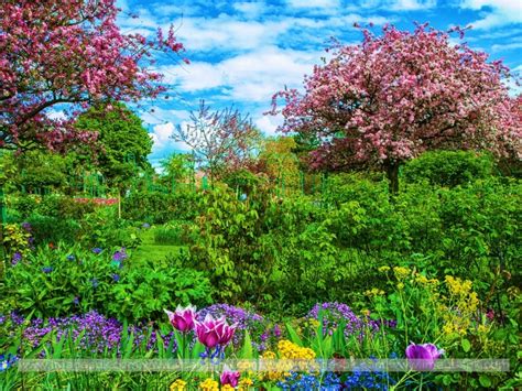 Spring Scenery Wallpaper 1080p 10 Most Popular Wallpapers Hd Nature