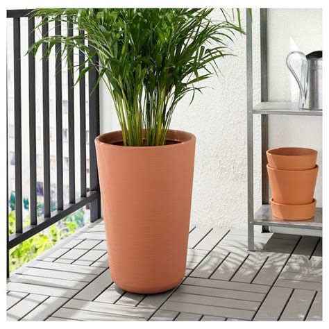 Products Ikea Plants Indoor Plant Pots Potted Plants
