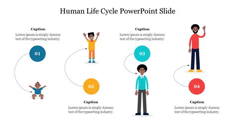 Creative Human Life Cycle Powerpoint Slide Design