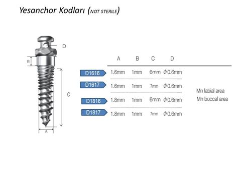 Orlus Yesanchor Mini Vidalar Ortam Ortodonti