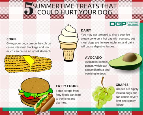 5 Summertime Treats That Could Hurt Your Dog