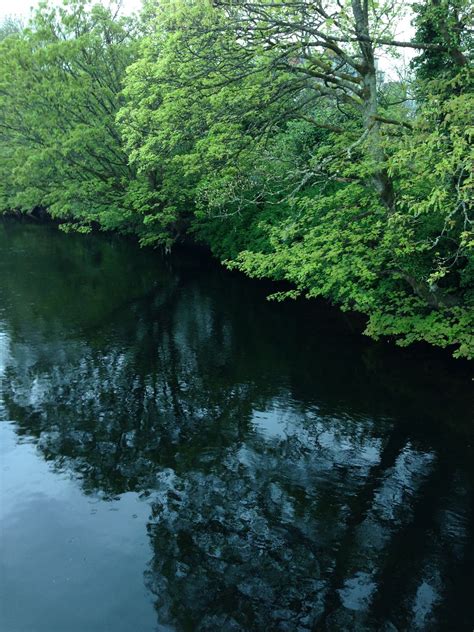 Fergus River In Ennis Ireland With Trees Overhanging May 2014 Jlg